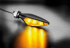 Ricks Harley Blinker