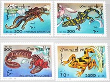 SOMALIA 1996 580-83 Lurche Amphibians Molch Salamander Tiere Fauna Animals **