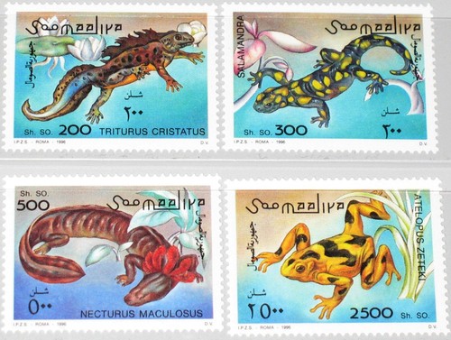Somalia 1996 580 lurche - somalia,