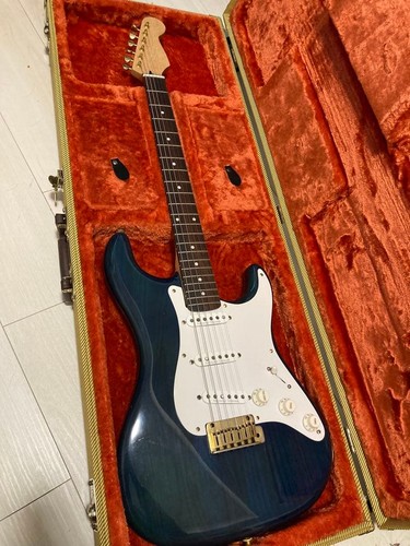 Strat typ komponente - strat, gitarre