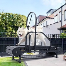 Dog treadmill for large - dog, large/medium