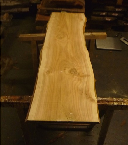 Mammutbaum redwood zypresse - redwood,