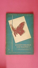 252842 SCHMETTERLINGE UND