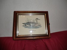 Vintage Schlüsselkasten aus Holz mit Ente gebraucht