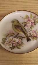 Vintage englischer Teller mit grünem Vogel/Retro Teller mit Grünfink Ca 10 Cm