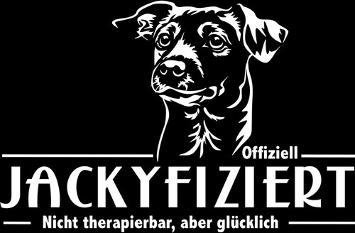 Jack russell terrier - jack,