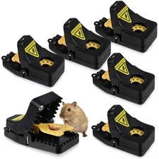 Mausefalle Mausefallen