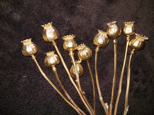 Mohnkapseln gold groß - (xxl),