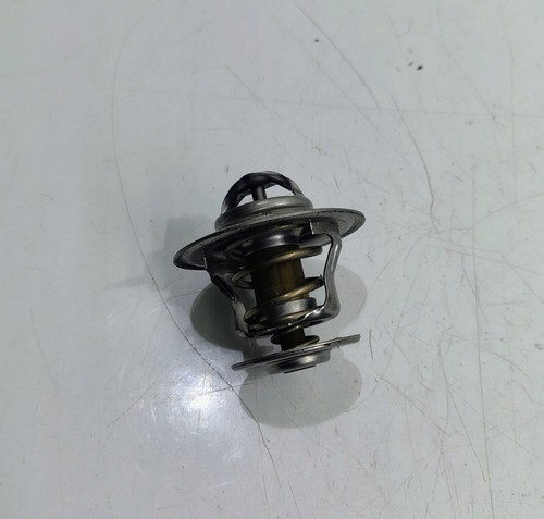 Thermostat sea doo rxp - doo,