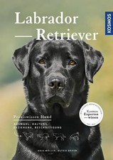 Labrador Retriever | Auswahl