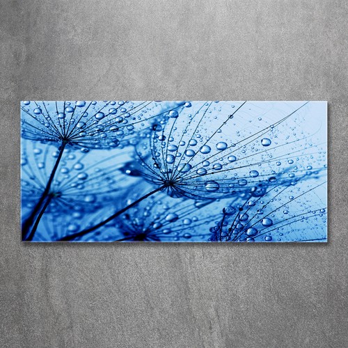 Glas bild wandbilder druck - druck, auf