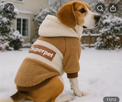 Hunde hoodie neu - hoodie,