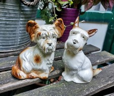 Zwei entzückende