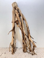 Talawa Wurzel XXL ähnlich