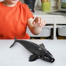 Wal-Actionfigur, Meerestiere, Lernspielzeug für Kleinkinder, Kinder,