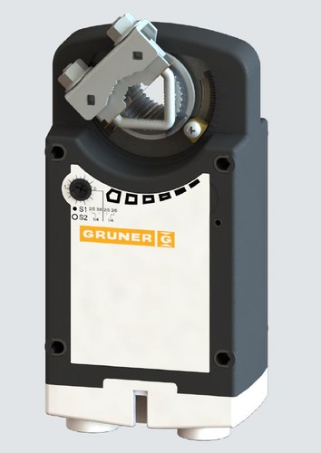 Gruner federrücklauf - gruner,