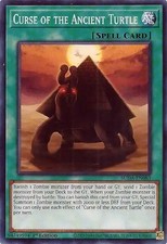 Curse of the Ancient Turtle -