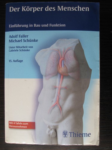 Der körper des menschen - der,