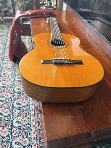Martinez classical guitar - martinez,