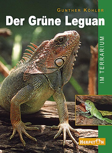 Der grüne leguan terrarium - der,