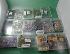 Konvolut 16 Dosen Bastel-Set