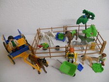 Pferde Kutsche und Koppel mit