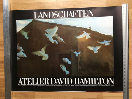 David hamilton orig - david,
