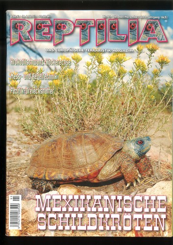 Reptilia mexikanische - reptilia,