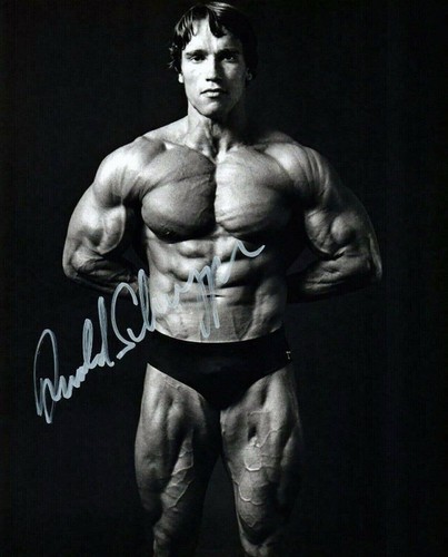 Arnold schwarzenegger - arnold,