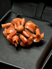 Antike Brosche natürliche