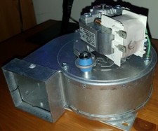 Glühwürmchen 432828