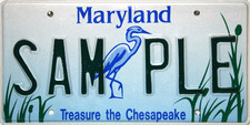 Maryland Chesapeake Sample