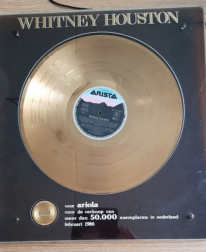 Whitney houston gold record - houston,