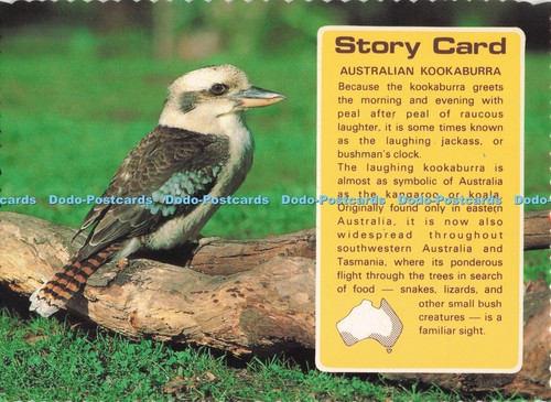 D286937 story card australian - d286937,