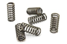 Kupplungsfedern Satz