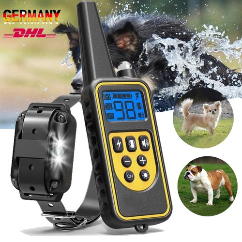 800m hund ausbildung - 800m,