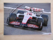 Pietro Fittipaldi "Haas"