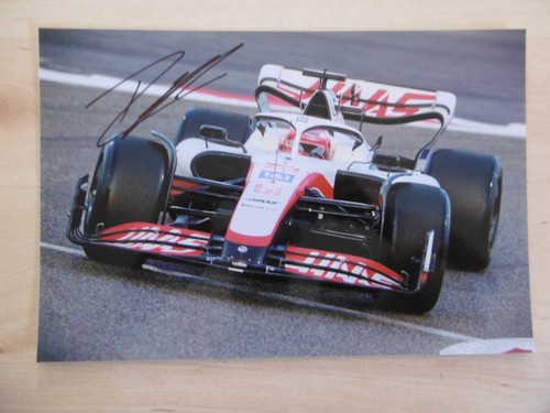 Pietro fittipaldi haas - pietro,