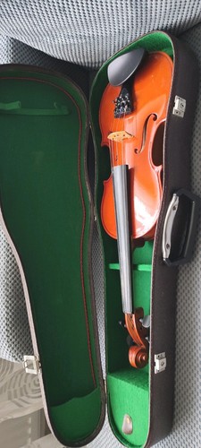 Bratsche violine viola - 3/4,