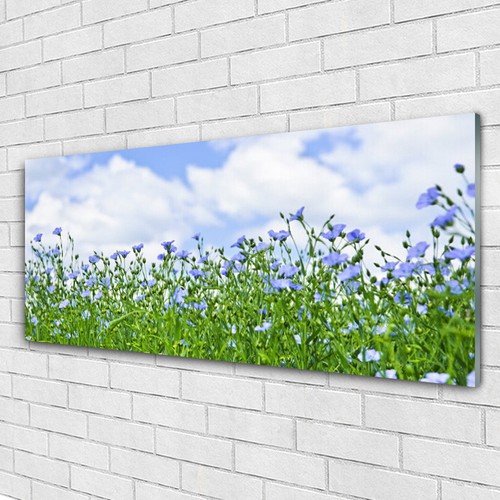 Glasbilder wandbild druck auf - glasbilder,