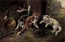 Ak Katzen haben einen Igel gefunden, Stroh, Harke, Bauernhof - 3518438
