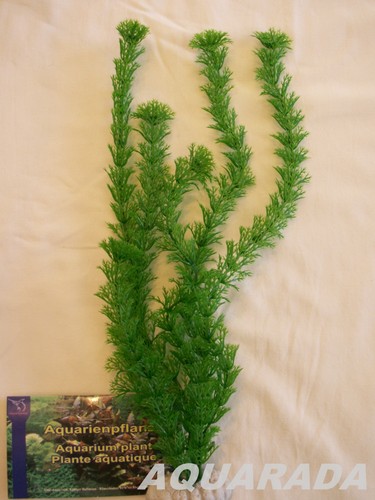 Egeria densa 40cm künstliche - egeria,