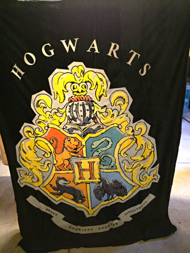 Harry potter decke - harry,