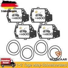 Vergaser Reparatur Satz 4