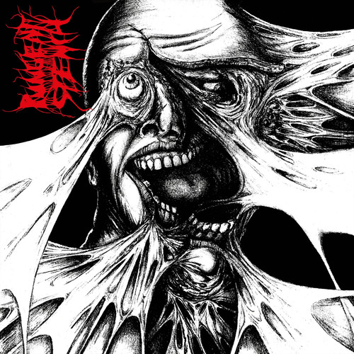 Pungent stench - -,