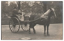 XX2738/ Pferd Kutsche Einspänner Foto AK ca.1912