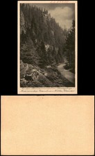 Ansichtskarte Reitzenhain-Marienberg im Erzgebirge Schwarzwassertal 1928