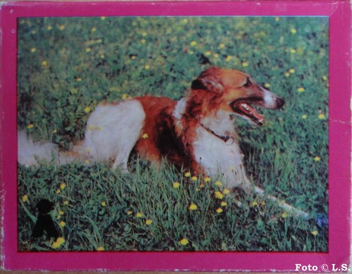 Puzzle barsoi ddr - -,