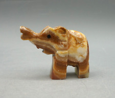 Wunderschöner kleiner Elefant