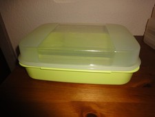 Tupperware großes Naschkätzchen Bellevue hell grün 2,5 L *RAR* *TOP*